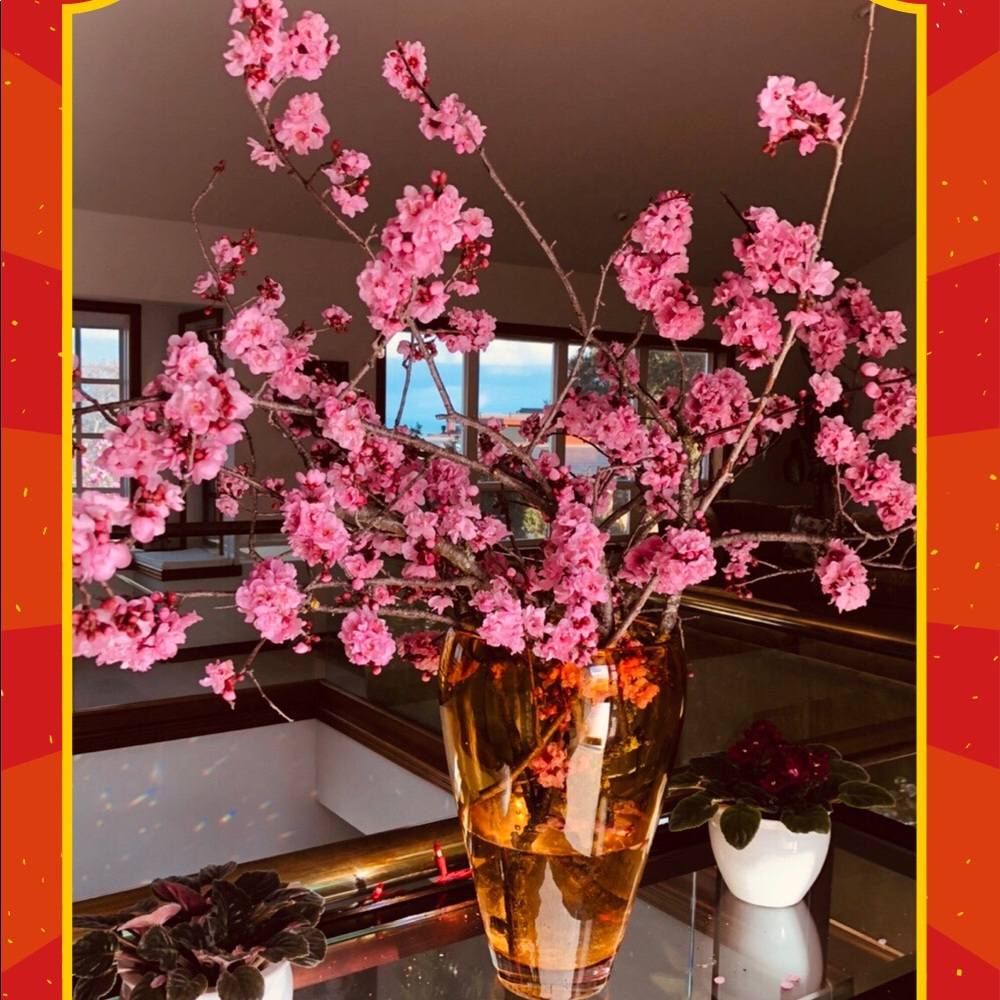 Meet the Posher - Picture 3 of 9